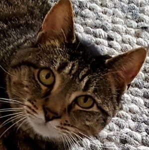 Meet your Posher, Eileen